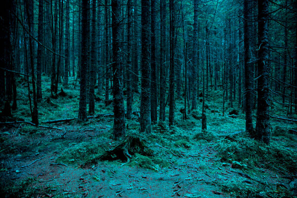 Scary misty forest (woods). Turquoise green background for Halloween.