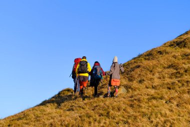 Turistler, Ukrayna karpatlarında bulutsuz, mavi gökyüzünün altında sarı çimlerle bir dağ yamacı boyunca bir zincirde yürüyorlar.