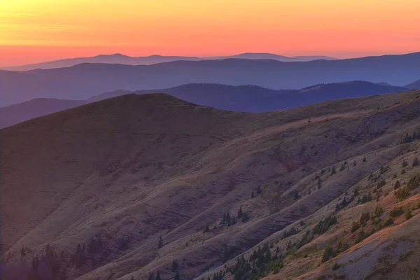 Orange Sunset Illuminates Mountain Pass Carpathians Green Fir Trees Slope — Stock Photo, Image