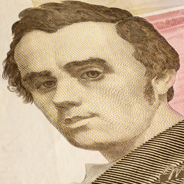 крупным планом части украинской гривны, номиналом 100 гривен, на котором изображен Тарас Шевченко в юности