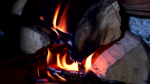 在现代加热器中点燃橡木干木柴 — 图库视频影像