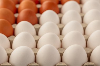 Tavuk yumurtaları kahverengi ve beyaz tepside. Bir açıdan en üstteki görünüm.