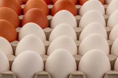 Tavuk yumurtaları kahverengi ve beyaz tepside. Bir açıdan en üstteki görünüm.