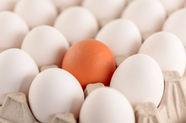 Tavuk yumurtaları kahverengi ve beyaz tepside. Bir açıdan üstten bak. Yakın plan..