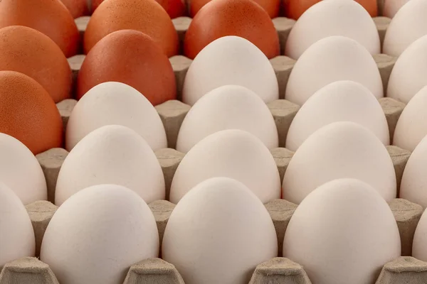 Tavuk yumurtaları kahverengi ve beyaz tepside. Bir açıdan en üstteki görünüm.