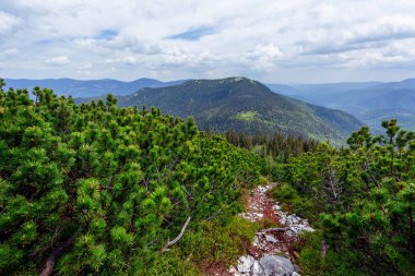 Öğleden sonra bulutlu bir gökyüzünün altında yaz dağı manzarası. Ön planda taşlar ve çam ağaçları var. Aktif yaşam tarzı ve dağlarda yürüyüş.