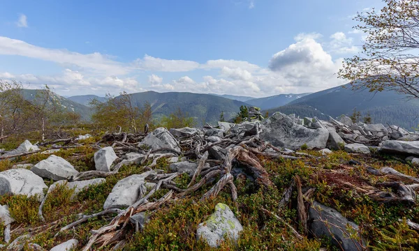 曇り空の下で午後の夏の山の風景 手前の石や山松 山の中でのアクティブなライフスタイルとハイキング — ストック写真