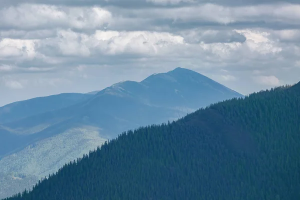 曇り空の下で午後の夏の山の風景 手前の石や山松 山の中でのアクティブなライフスタイルとハイキング — ストック写真