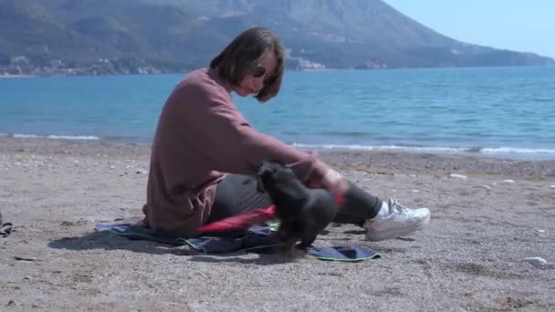 Attractive young woman wearing sunglasses plays with active dachshund puppy using headscarf while sitting on blanket by the sea on nice sunny day — Stock Video