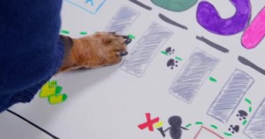 Sıcak kazaktaki köpek patisi bir kağıt parçasının üzerinden geçerek bina planındaki stoktan çıkış yolunu gösterir. Kapatın. Suç çetesi cesur bir soygun planı hazırlıyor.