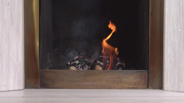 Dřevěné klády v ohni na pozadí krbu v bytě. Dřevo hořící v plamenech. Útulný teplý krb v domě na venkově — Stock video