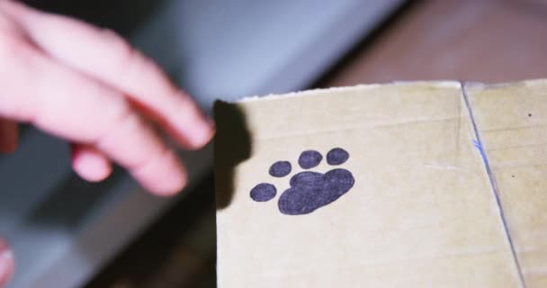 Persoon vond een kartonnen doos in het donker met voetafdruk van pootje hond geschilderd op het oppervlak, markering met een zaklamp, close-up. Persoon raakt de voetafdruk zorgvuldig aan met de vingers — Stockvideo
