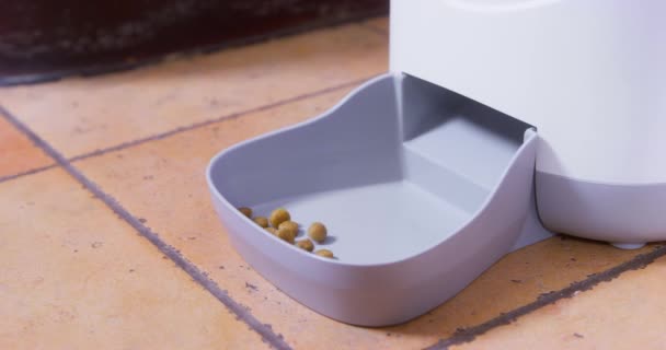 Automatyczna karmnik dla zwierząt wydaje żywność dla psów na podłodze — Wideo stockowe