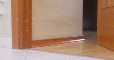 Şirin ve meraklı dachshund köpeği karanlık bir odaya giriyor ve kapı arkasından kapanıyor, alçak açılı bir manzara. Köpek uyumak için yatak odasına gitti ve rahatsız edilmek istemiyor.