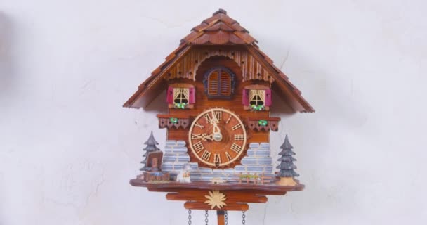 Person moves the hand of cuckoo clock to set the correct time or vice versa wrong time, because he wants to prank a friend, front view, close up. Vintage authentic pendulum clock on wall — Stockvideo