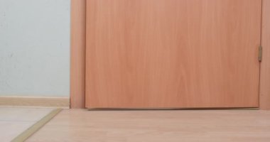 Kapıdan odaya yavaşça açılır ve içinde mavi tişörtlü ve sırtında arı şeklinde bir sırt çantası olan komik bir dachshund köpeği vardır. Evcil hayvan eşyalarını topladı ve maceralarla buluşmak için evden çıkmaya hazır.
