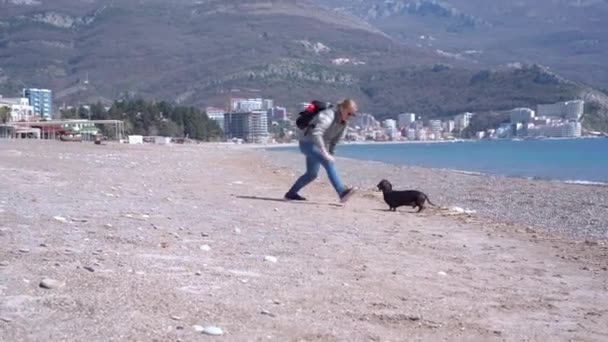 Νεαρή τουρίστρια ξανθιά γυναίκα περπατά με το σκυλί της dachshund στην ακτή της θάλασσας, παίζει και τρέχει. Διακοπές στην ακτή με κατοικίδια ζώα — Αρχείο Βίντεο