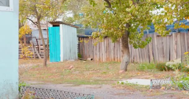버려진 시골 집의 마당. 오지의 평화롭고 조용 한 일상 마을의 전형적 인 안마당입니다. 뒤 뜰에 있는 작은 헛간이나 옥외 화장실, 오래 된 나무 울타리에둘러 싸여 있다 — 비디오