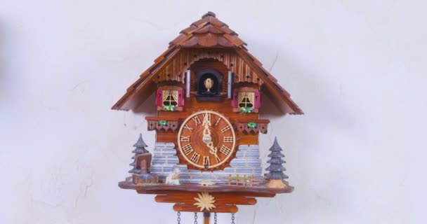 Vintage authentique coucou en bois horloge frappe les heures avec son et coucou automatique oiseau qui se déplace à chaque note, accroché au mur à la maison, vue de face — Video