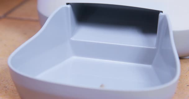 Pellets of dry food are poured in portions into plastic tray of automatic pet feeder machine, close up. Device for feeding animals according to schedule and timer — Stock Video