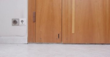 Mavi polo tişörtlü komik köpek yavrusu yürüyüşe ya da yürüyüşe çıkıyordu. Sırt çantasını arı şeklinde aldı ve açık kapıdan çıkıp gitti.