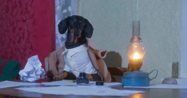 Dachshund beyaz gömlekli ve sıcak ceketli, omuzlarının üzerinden süzülmüş. Köpek, masa başında kağıt ve kalemle mürekkep dolu kağıtlarla kitap ya da mektup yazmaya çalışıyor. Earl hizmetçiyi çağırıyor.