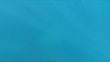 Güneş ışınları Adriyatik denizinin temiz sularını yansıtıyor