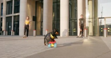 Dachshund köpekleri tarafından yönetilen bir grup kaykaycı sokakta deri ceketli, alçak açılı ön manzara. Gençler açık havada ekstrem sporlar yaparak eğleniyorlar.