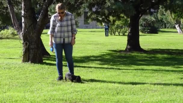 Mujer camina dachshund negro amigo con correa en el parque de la ciudad — Vídeo de stock