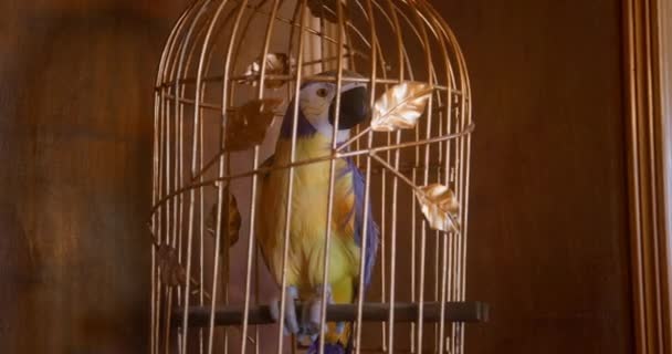 Parrot swings in golden cage fixed to ceiling on pirate ship — Stock Video
