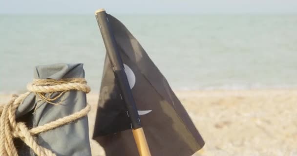 Piratenfahne weht bei starkem Wind am Strand gegen See — Stockvideo