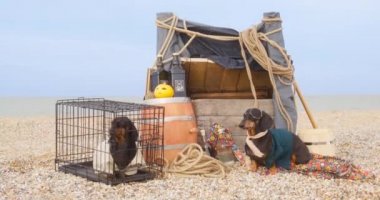 Siyah giyimli dachshund sahilde, kafeste köpeğin yanında oturuyor.