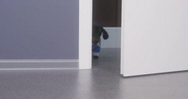 Mavi tulumlu komik dachshund köpeği yarı açık kapıdan kaçar. Evcil hayvan evde tek başınayken ortalığı dağıttı ve bir şeyler çiğnedi. Şimdi de suç mahallinden kaçıyor..