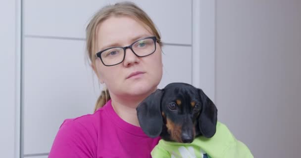 優柔不断で信じられないような表情の若いブロンドの女性は、かわいいダックスフントの子犬を腕の中でTシャツを持って、目で誰かに従います。所有者とペットは何が起こっているのか理解できません. — ストック動画