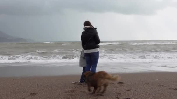 Молодая женщина держит своего ребенка за руку во время прогулки по пляжу в пасмурную погоду в межсезонье. Рыжая собака подбежала к матери с ребенком, виляя хвостом, чтобы поприветствовать их. — стоковое видео