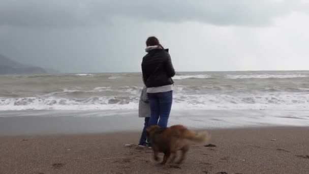 Jeune femme tient son enfant à la main tout en marchant le long de la plage par temps nuageux en hors-saison. Chien roux couru jusqu'à la mère avec enfant, agitant sa queue pour les accueillir. — Video