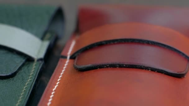 Leather insulin pen case. — Stock Video