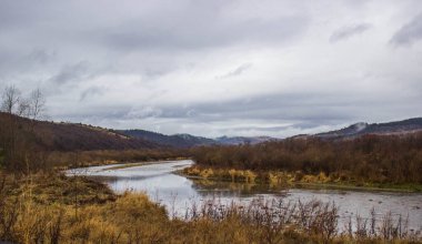Dağ Nehri ve Gri Yağmurlu Gökyüzü