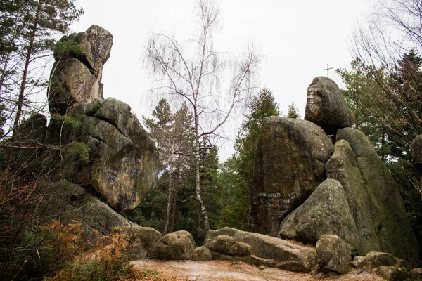 Dağ Ormanındaki Garip Doğal Kayalar