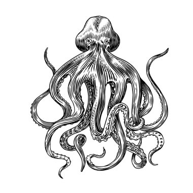 Deniz ahtapotu. Eski bir çizime oyulmuş el resmi, klasik bir yaratık. Denizci ya da denizci, canavar. Okyanustaki hayvanlar. Logolar, etiketler ve amblemler için şablon.