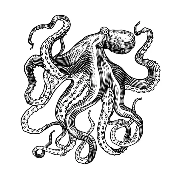 Морской осьминог. Гравированная рука, нарисованная на старом наброске, винтажном существе. Морской или морской, монстр. Животное в океане. Шаблон для логотипов, этикеток и логотипов. — стоковый вектор