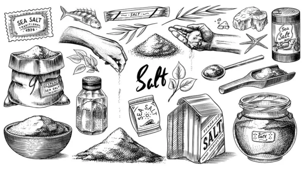 海盐集。玻璃瓶，包装和叶子，木制勺子，粉末，香料在手。复古背景横幅。雕刻的手绘草图. — 图库矢量图片