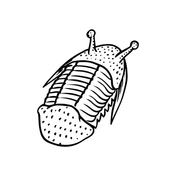 Espécimen trilobite preservado. Fragmento fósil, esqueleto de animal muerto prehistórico en piedra. Arqueología o paleontología. grabado a mano dibujado viejo boceto vintage. Ilustración vectorial . — Vector de stock