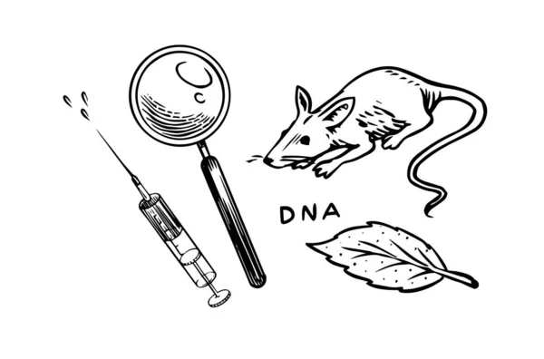 Крыса, шприц и лупа. Химические лабораторные эксперименты. Мышь в медицинских биологических исследованиях. Контур черных чернил для инфографики, веб-сайта или приложения. Ручной рисунок. — стоковый вектор