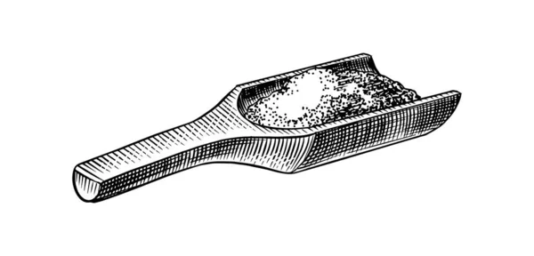 Cuchara de madera de sal marina. Montones de semillas. Especia en envases naturales. Saborizante o salino. Banner de fondo vintage. Dibujo viejo dibujado a mano grabado. — Archivo Imágenes Vectoriales