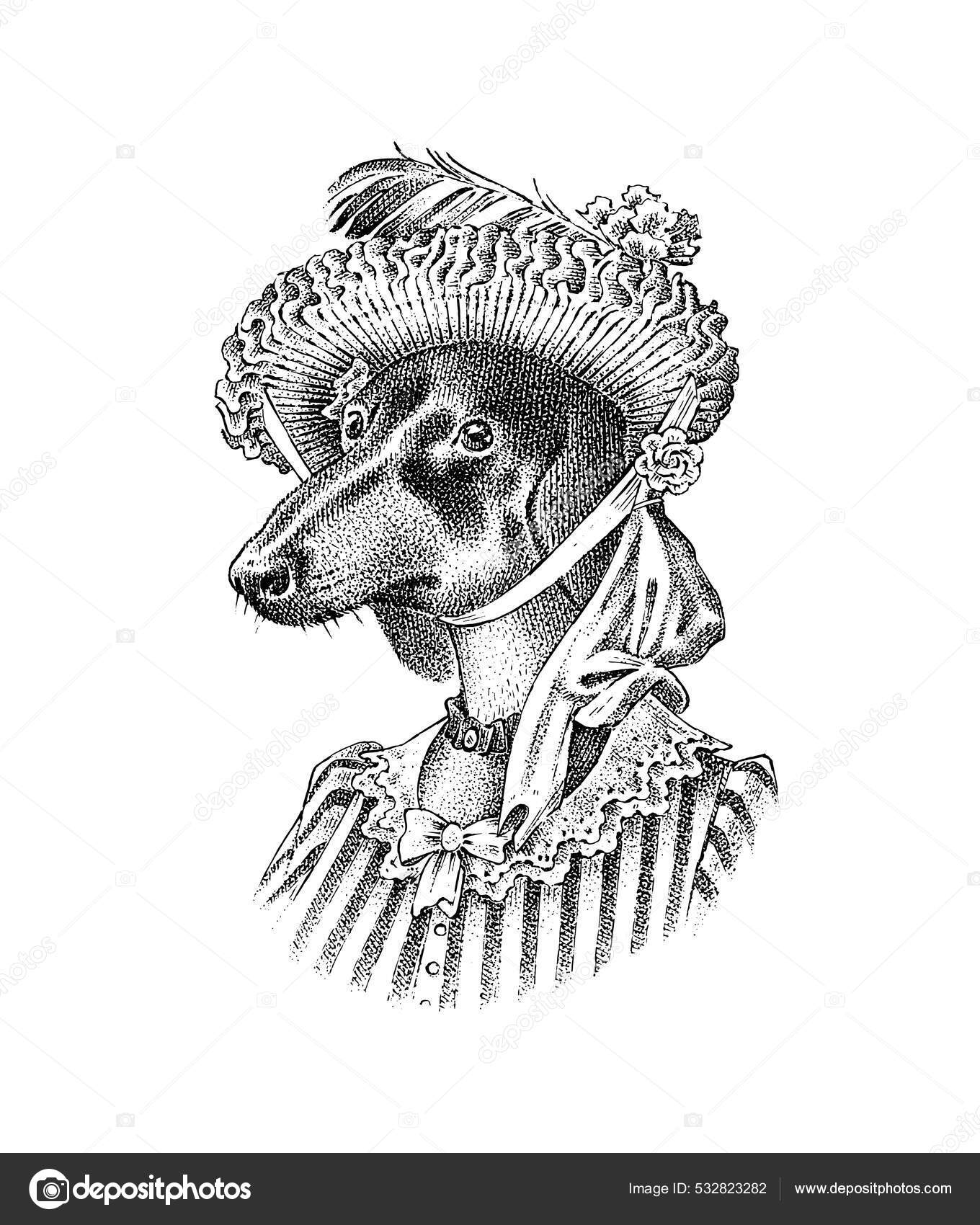 Dachshund Dog en Caza de Señora o señora con vestido