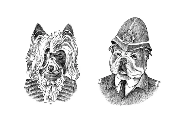 Engelska Bulldog i polisdräkt. Briard eller Herding dog utklädd i kostym. Mode Djur karaktär i kläder. Handritad skiss. Vektor graverad illustration för etikett, logotyp och T-shirts eller tatuering. — Stock vektor
