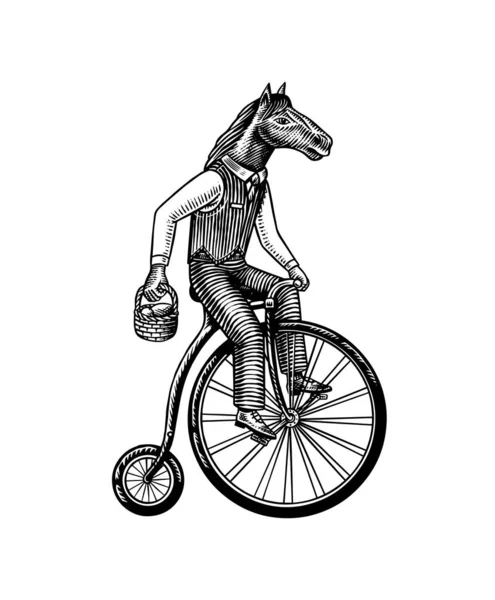 Un hombre de caballo con traje monta en bicicleta. Un repartidor de comida. Personaje animal de moda. Bosquejo dibujado a mano en madera. Ilustración grabada vectorial para logotipo y tatuaje o camisetas. — Archivo Imágenes Vectoriales
