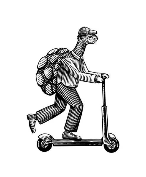 Ein Schildkrötenmann im Anzug fährt mit einem Motorroller. Essenslieferant. Mode tierischen Charakter. Handgezeichnete Holzschnittskizze. Vektorgravierte Illustration für Logo und Tätowierung oder T-Shirts. — Stockvektor