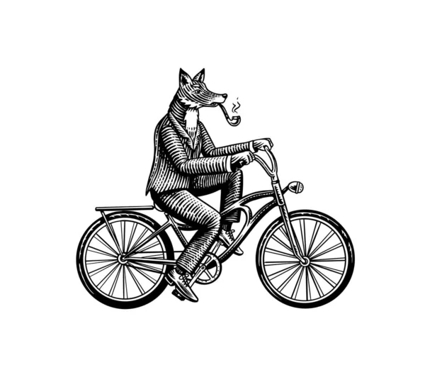 Een vos met een pijp in een pak rijdt op een fiets en pedalen. Mode dierlijk karakter. Handgetekende schets van de houtsnede. Vector gegraveerde illustratie voor logo en tattoo of T-shirts. — Stockvector